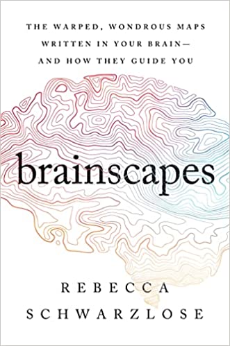 brainscapes